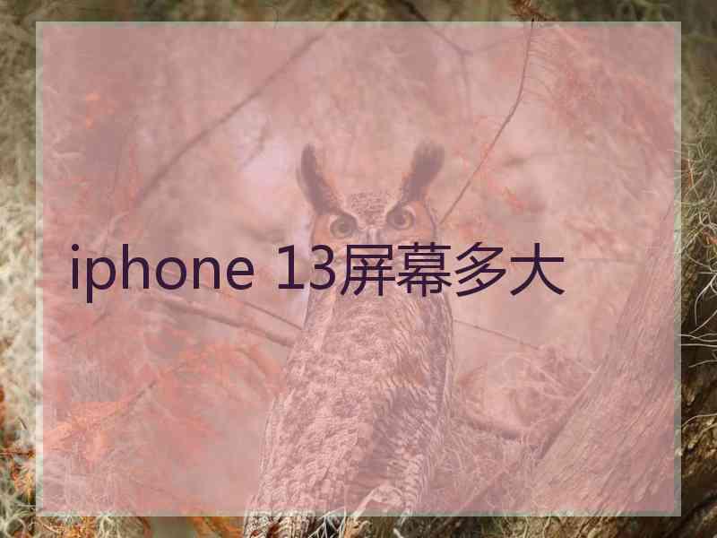 iphone 13屏幕多大