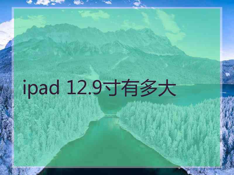 ipad 12.9寸有多大