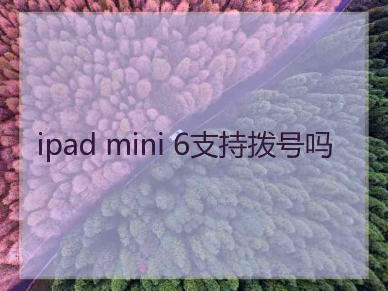 ipad mini 6支持拨号吗