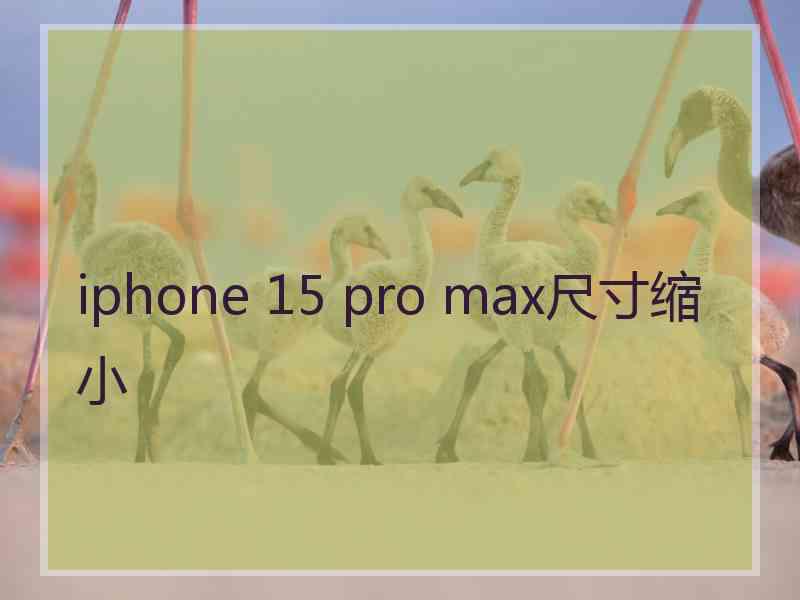 iphone 15 pro max尺寸缩小