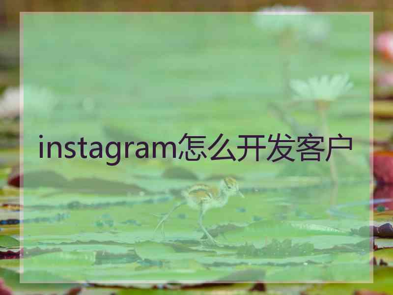 instagram怎么开发客户