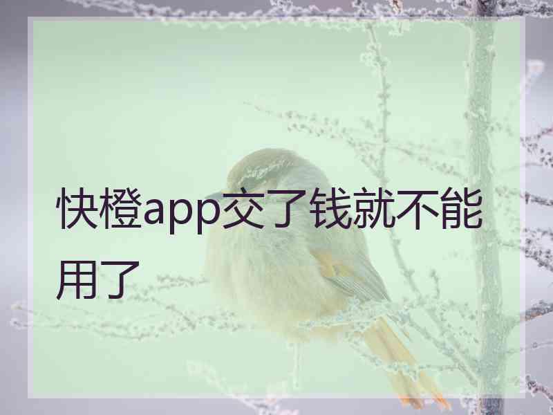 快橙app交了钱就不能用了