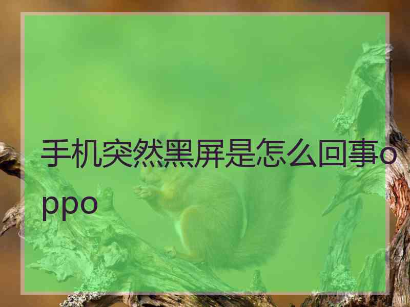 手机突然黑屏是怎么回事oppo