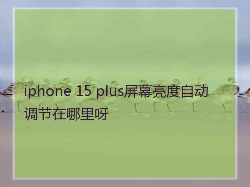 iphone 15 plus屏幕亮度自动调节在哪里呀