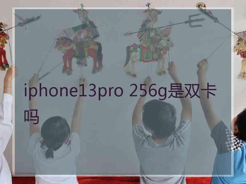 iphone13pro 256g是双卡吗