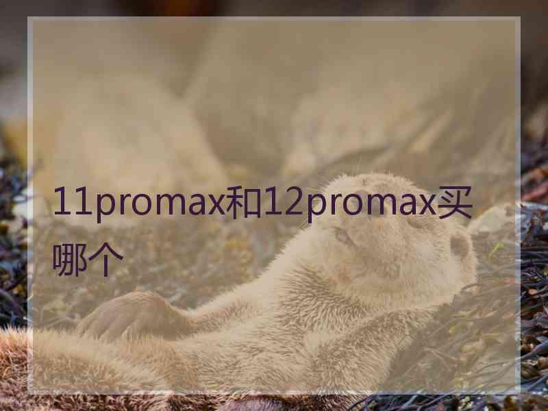 11promax和12promax买哪个