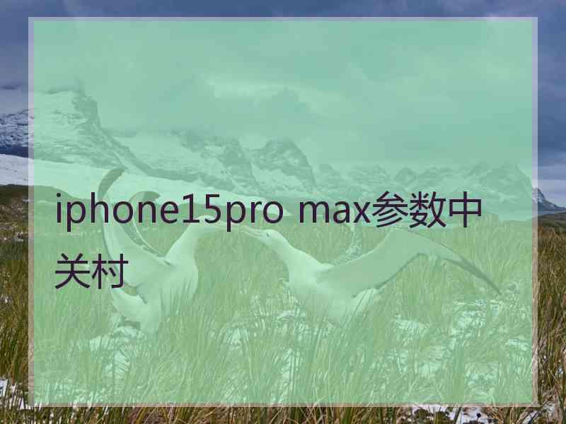 iphone15pro max参数中关村