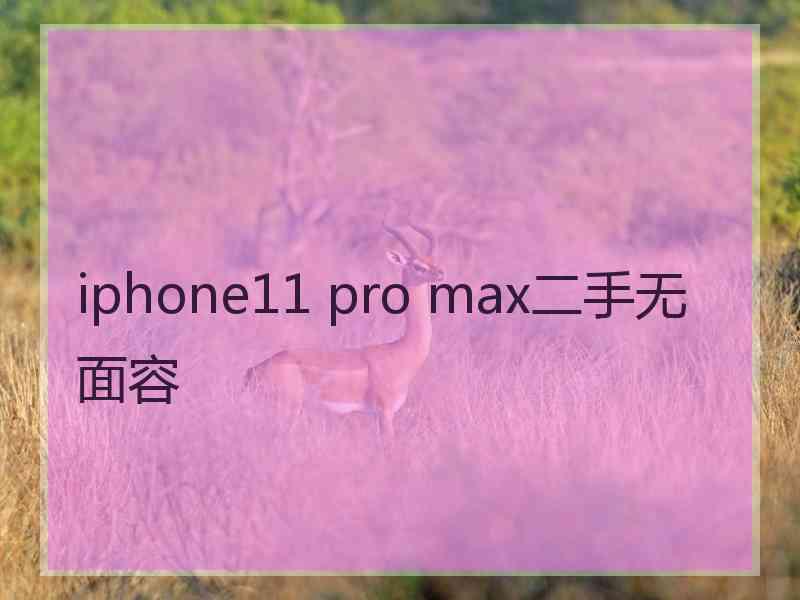 iphone11 pro max二手无面容