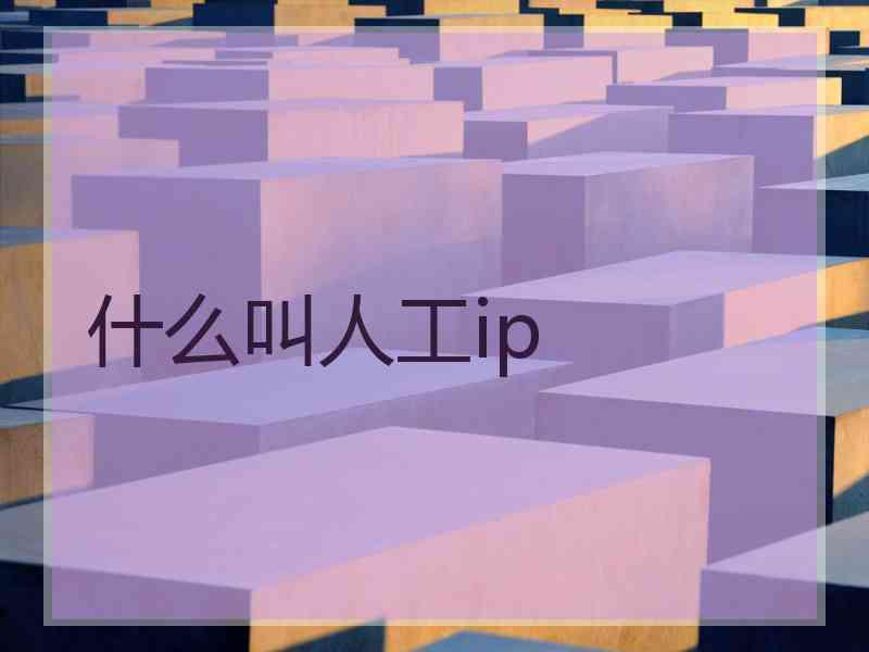 什么叫人工ip