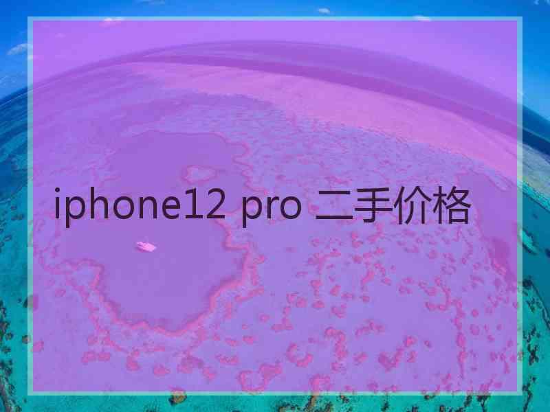 iphone12 pro 二手价格