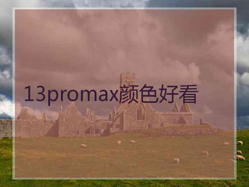 13promax颜色好看