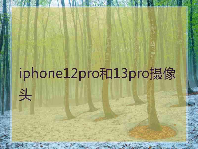 iphone12pro和13pro摄像头