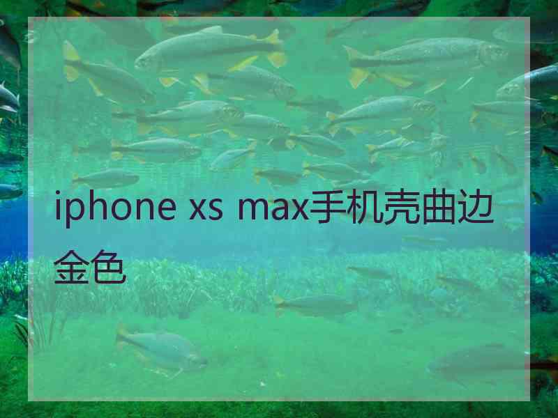 iphone xs max手机壳曲边金色