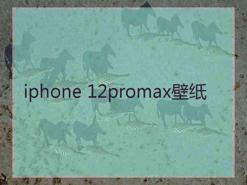 iphone 12promax壁纸