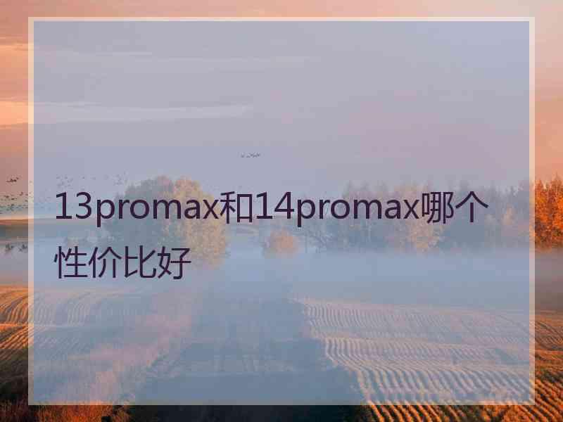 13promax和14promax哪个性价比好