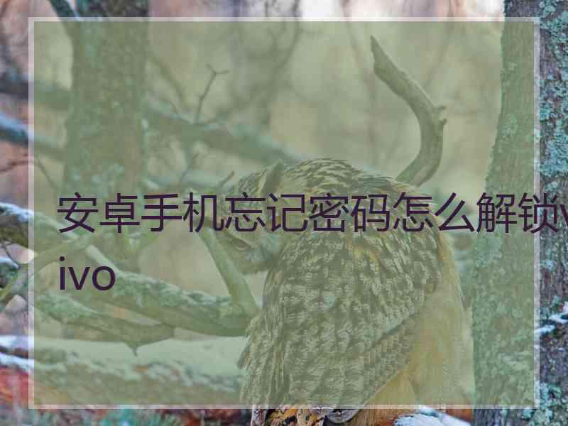 安卓手机忘记密码怎么解锁vivo