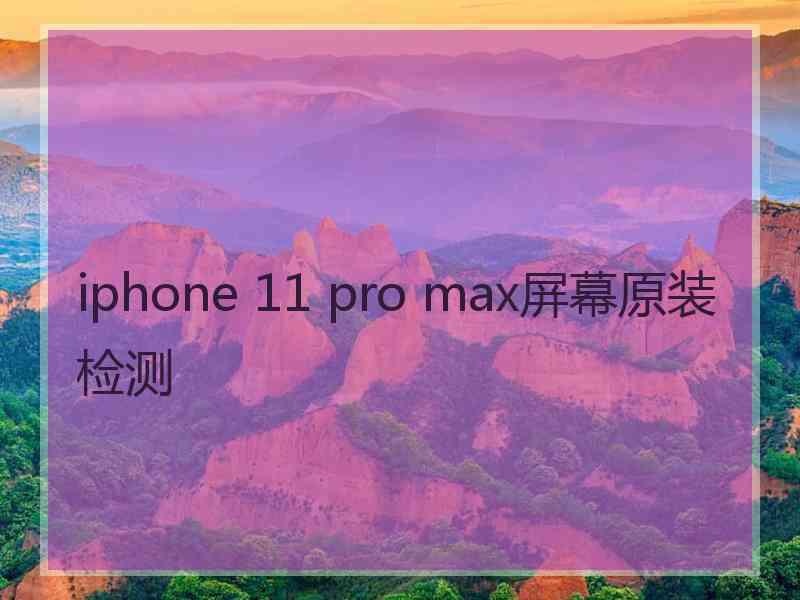 iphone 11 pro max屏幕原装检测