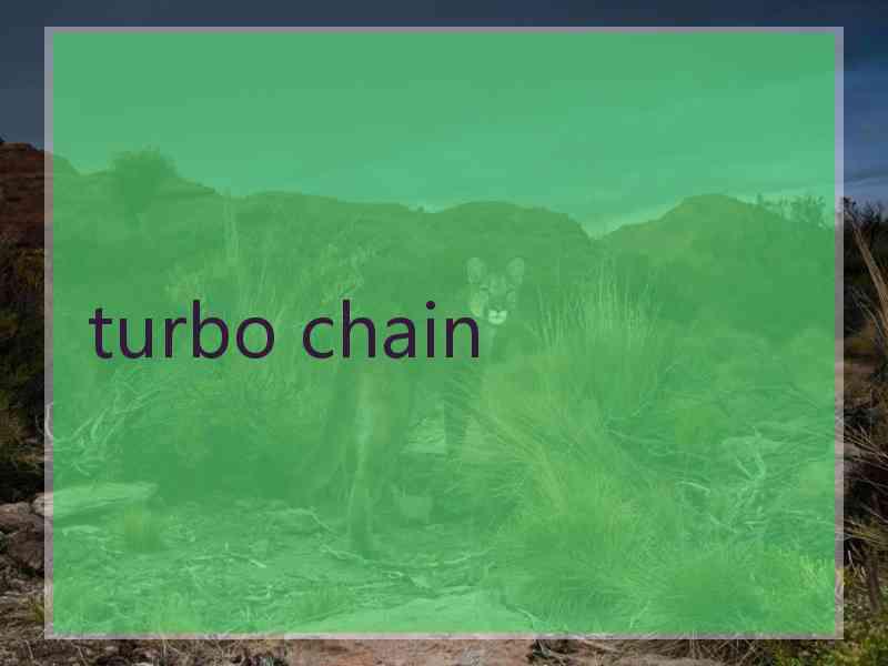 turbo chain