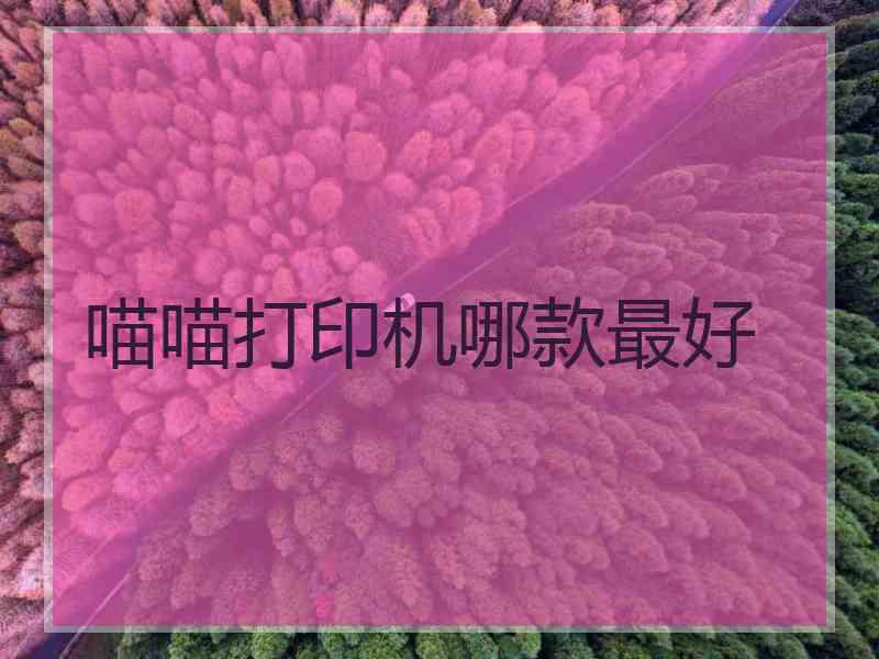 喵喵打印机哪款最好