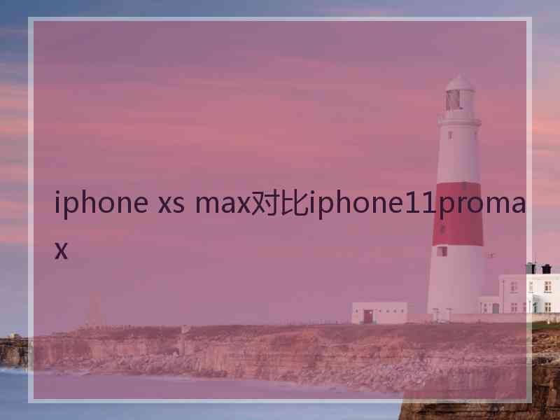 iphone xs max对比iphone11promax