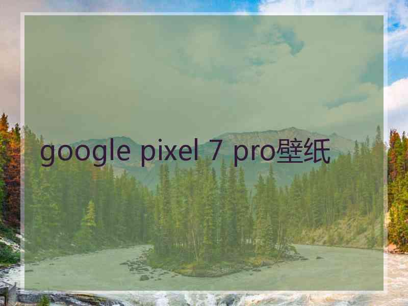 google pixel 7 pro壁纸