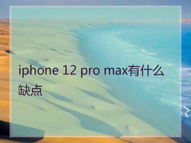 iphone 12 pro max有什么缺点