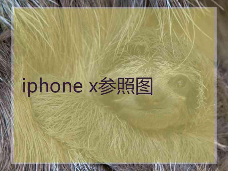 iphone x参照图