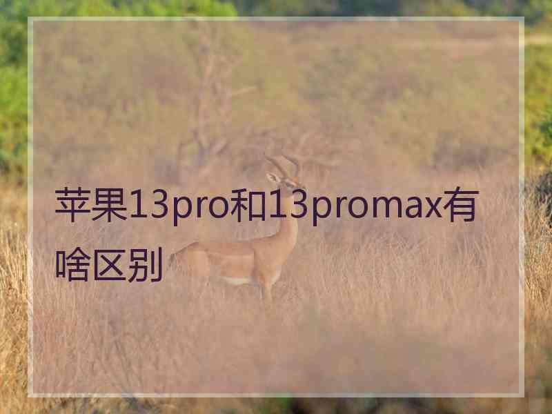 苹果13pro和13promax有啥区别