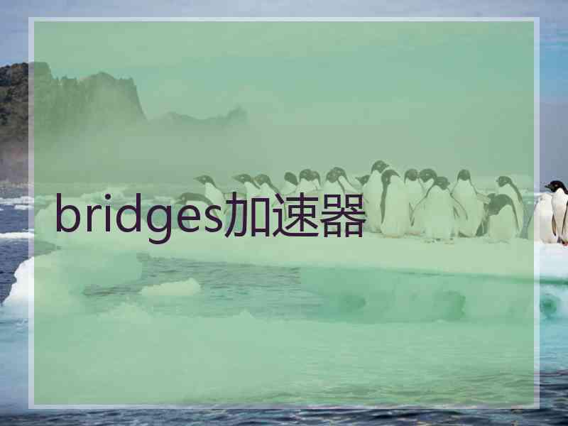 bridges加速器