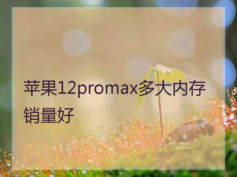 苹果12promax多大内存销量好