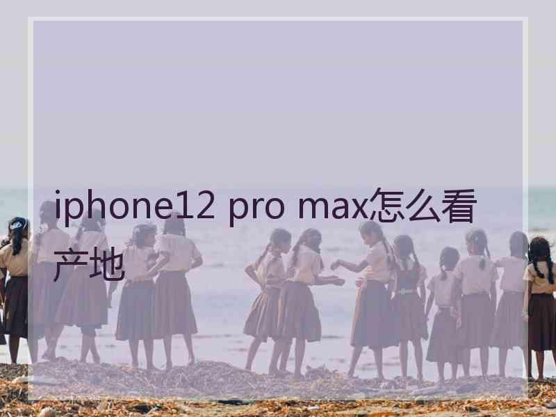 iphone12 pro max怎么看产地