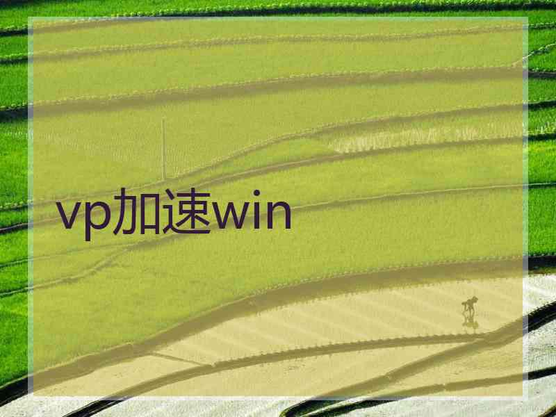 vp加速win