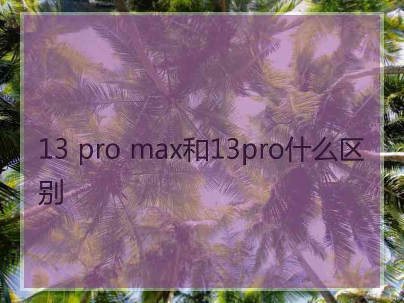 13 pro max和13pro什么区别