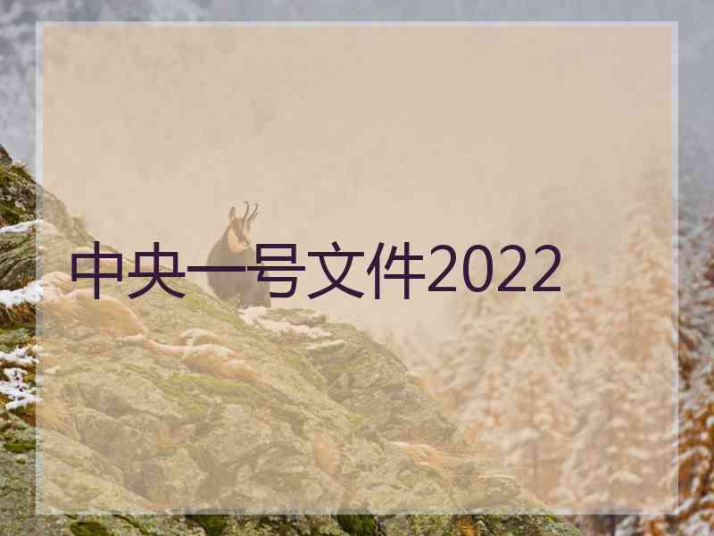 中央一号文件2022