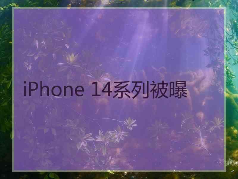 iPhone 14系列被曝