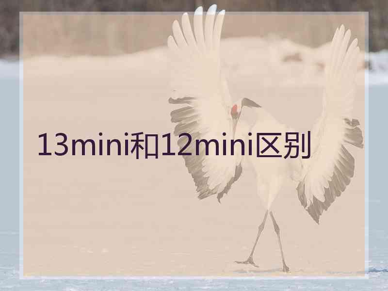 13mini和12mini区别