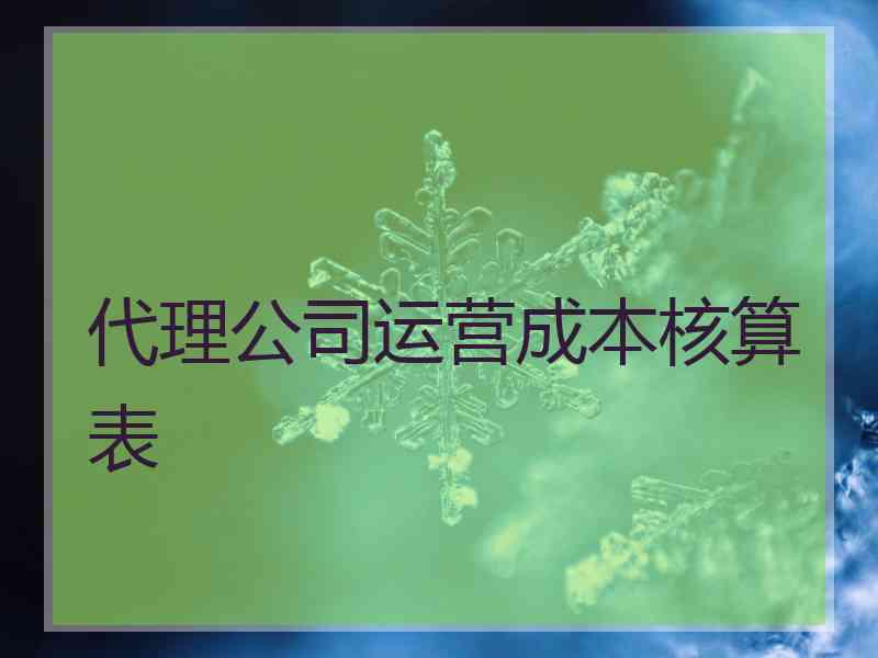 代理公司运营成本核算表