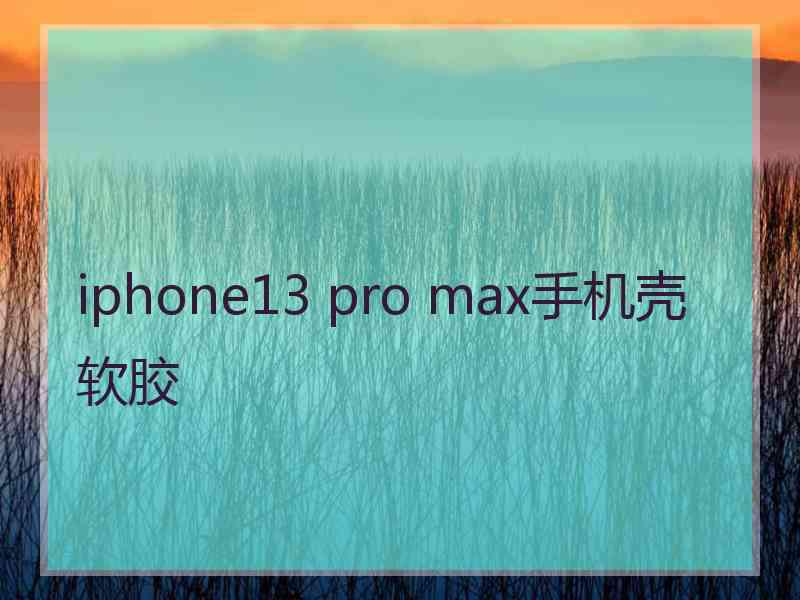 iphone13 pro max手机壳软胶