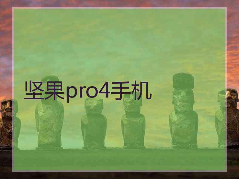 坚果pro4手机