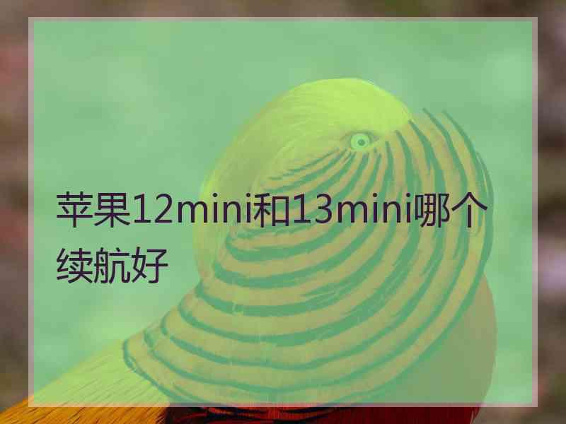 苹果12mini和13mini哪个续航好