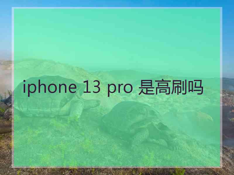 iphone 13 pro 是高刷吗