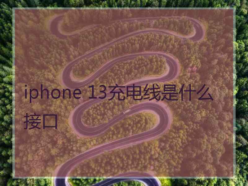 iphone 13充电线是什么接口