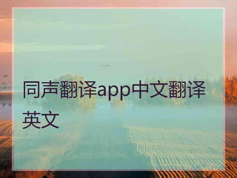 同声翻译app中文翻译英文