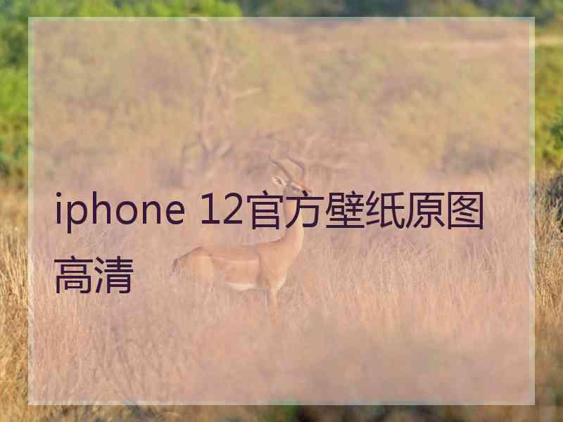 iphone 12官方壁纸原图高清