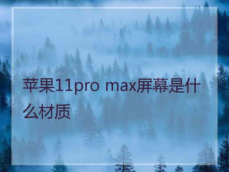 苹果11pro max屏幕是什么材质