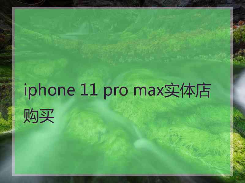 iphone 11 pro max实体店购买