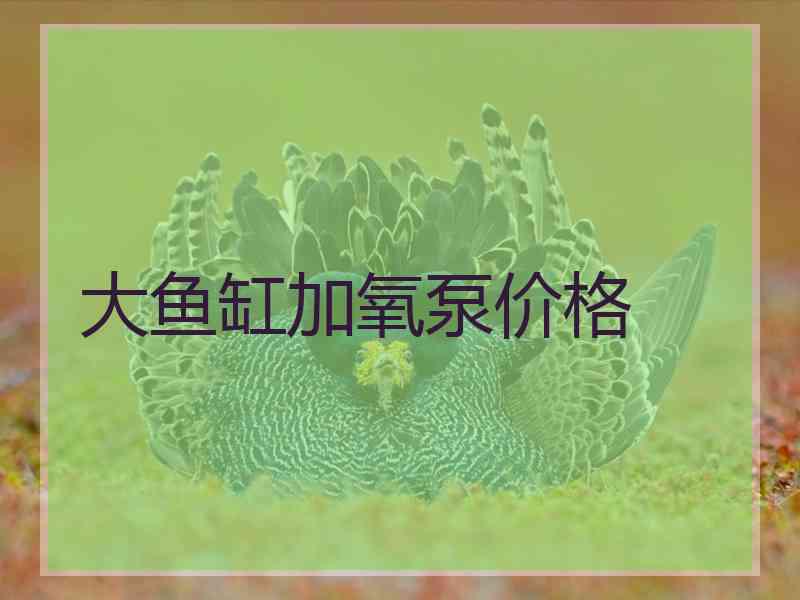 大鱼缸加氧泵价格