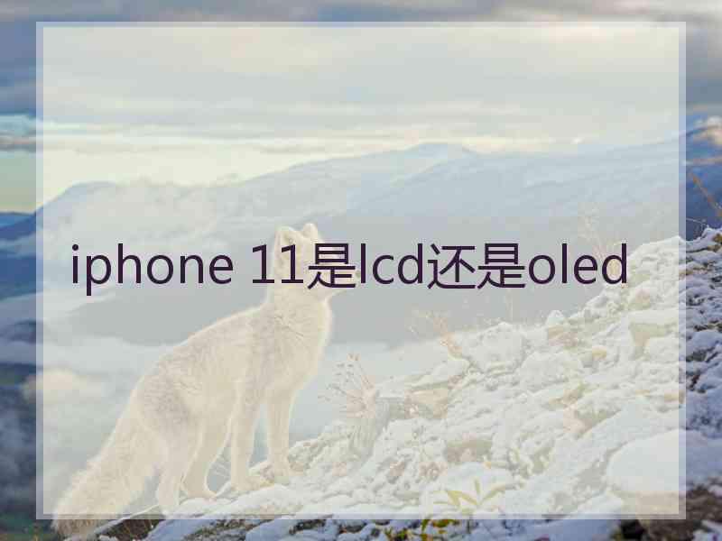 iphone 11是lcd还是oled