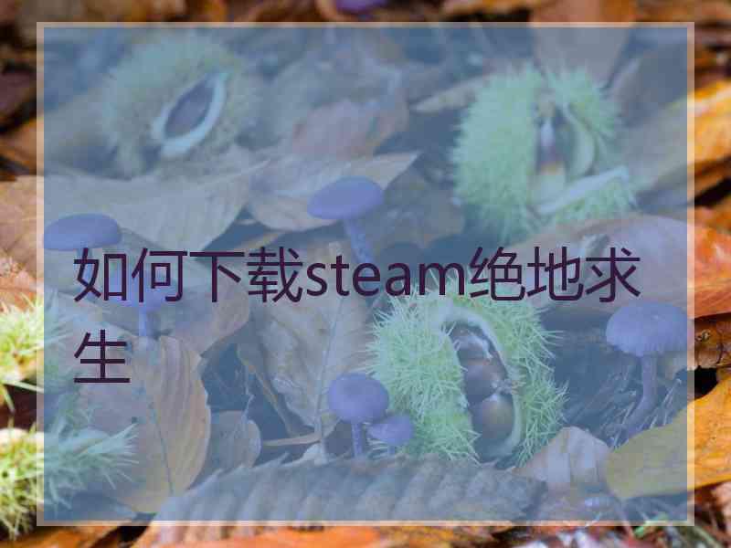 如何下载steam绝地求生