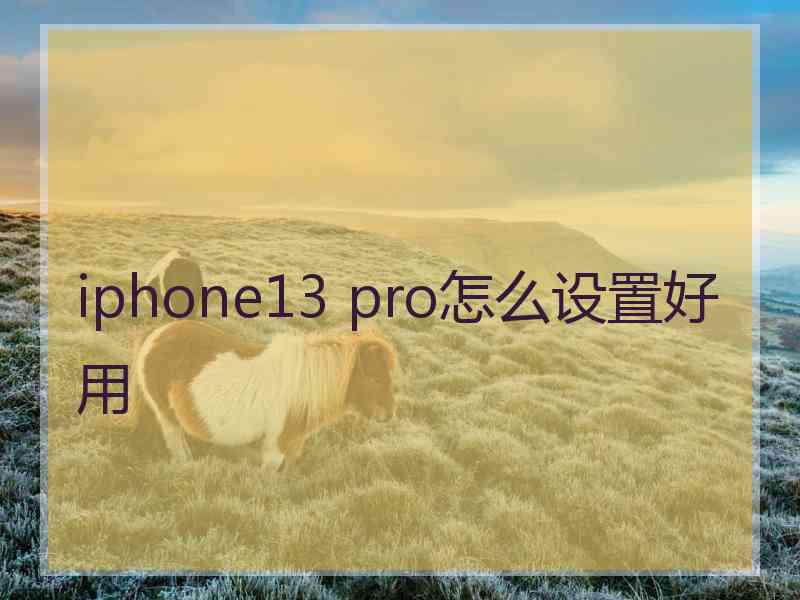 iphone13 pro怎么设置好用